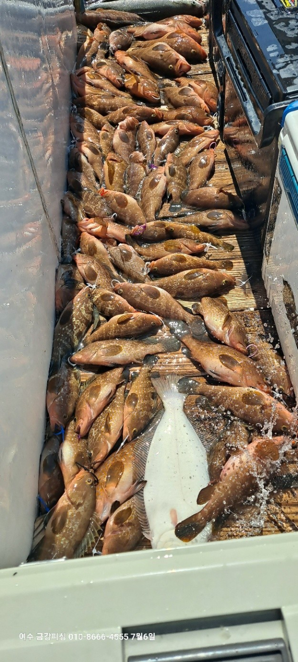 여수금강피싱_사진_20250707_2.jpg