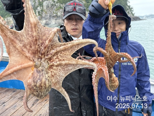 7월13일문어 (7).jpg
