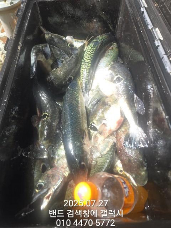 KakaoTalk_20250728_013952016.jpg