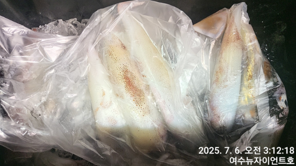 1751776507774-7.jpg