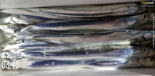 제주갈치낚시 화원호_사진_20250720_12.jpg