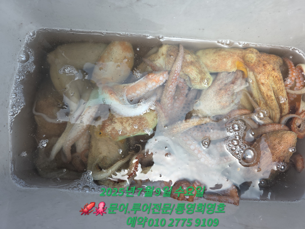 2bb603ed6be216e90afaccf79202c664.jpg