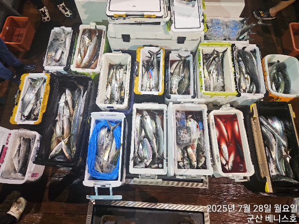 KakaoTalk_20250728_032511953_01.jpg
