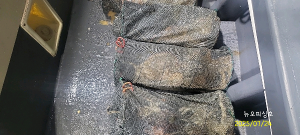 DateCamera0724223509.jpg