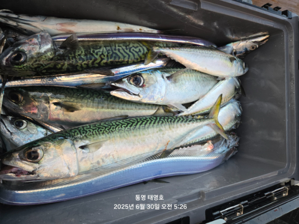 KakaoTalk_20250630_063408165_01.jpg