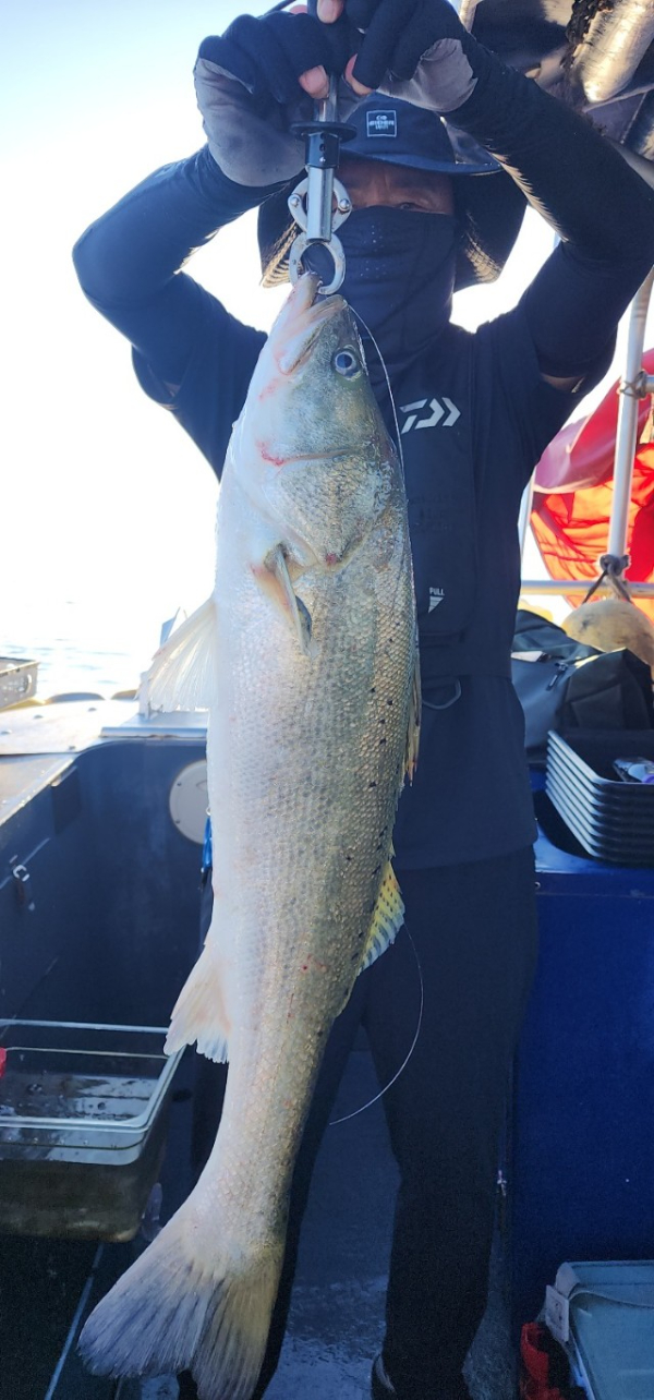 예지퀸호 농어외수질&어초낚시 경기인천권_사진_20250727_12.jpg