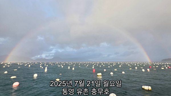 1753053126931.jpg