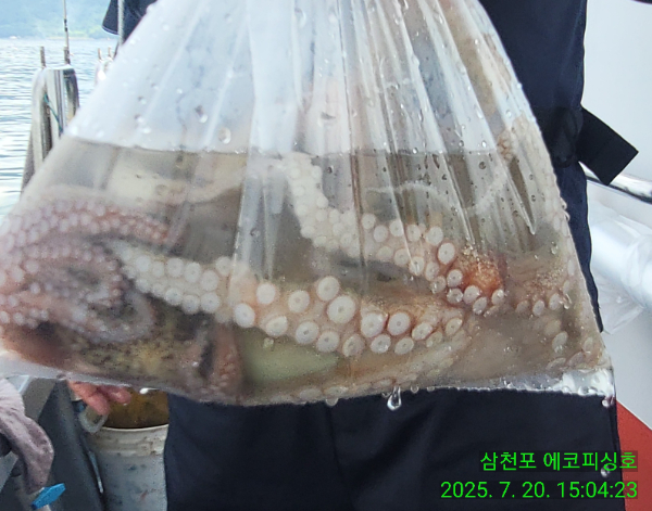 2fad0222d6eca1ed0d6cc31f97650e14.jpg