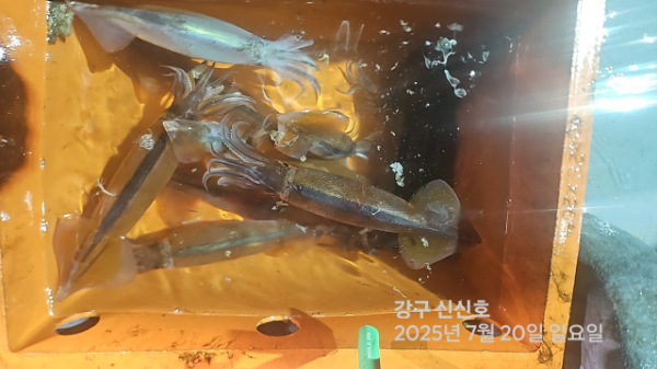 신신낚시 강구점 신신호_사진_20250720_13.jpg