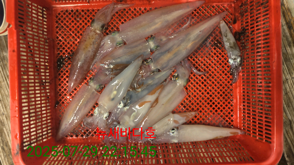 31427ffcd75fc4824eec0813255d0e32.jpg