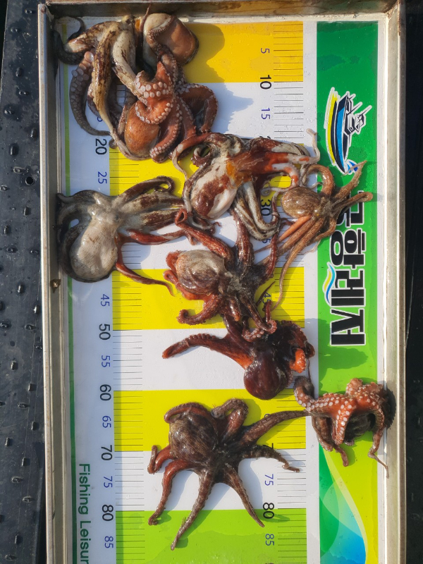 궁항레저_사진_20250723_6.jpg