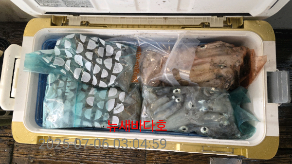 31fc55d5bfd1adfe33a0912da5eb827d.jpg