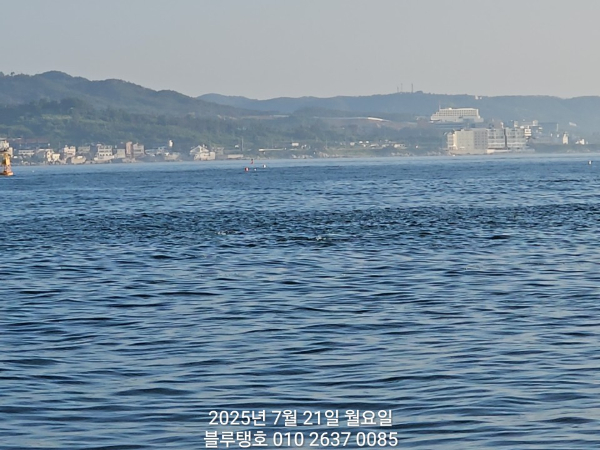20250721_063951.jpg