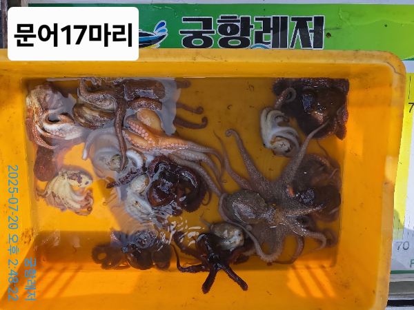 KakaoTalk_20250720_180714160.jpg