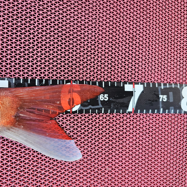 1000040376.jpg