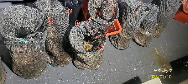 DateCamera0710001128.jpg