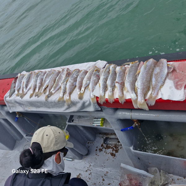 인천바다낚시 (15).jpg