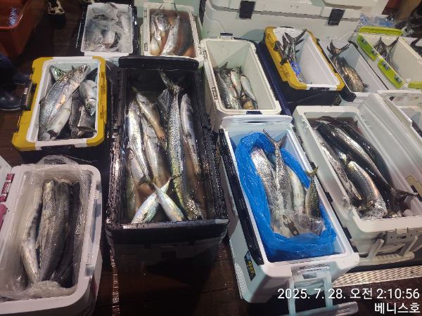 KakaoTalk_20250728_062211291_03.jpg