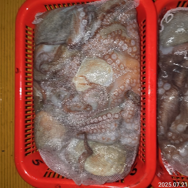 성진피싱 (진해 수도)_사진_20250721_8.jpg