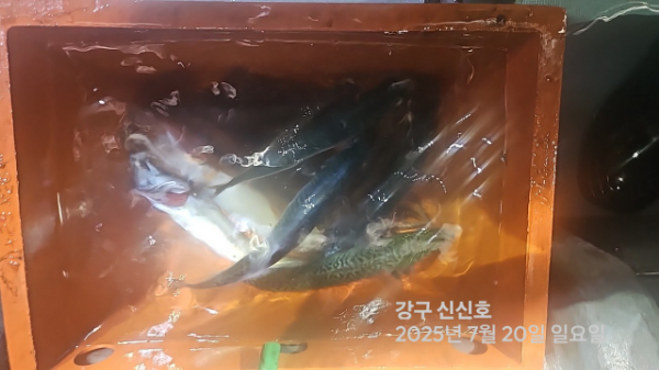 신신낚시 강구점 신신호_사진_20250720_16.jpg