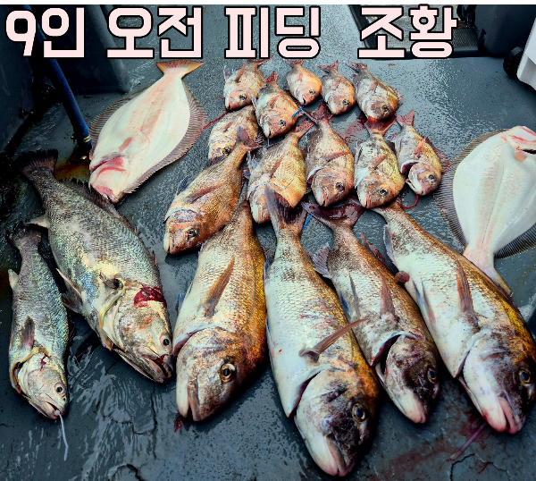 KakaoTalk_Image_2025-07-04-13-34-52_008.jpeg