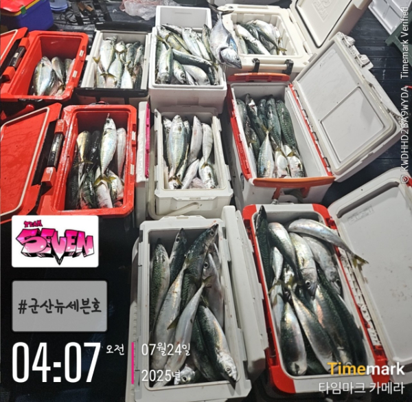 f_d6iUd018svc2xdp01psevqa_82sd02.jpg
