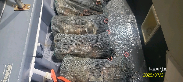 DateCamera0724223517.jpg
