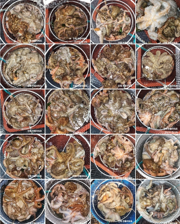 1000071397.jpg