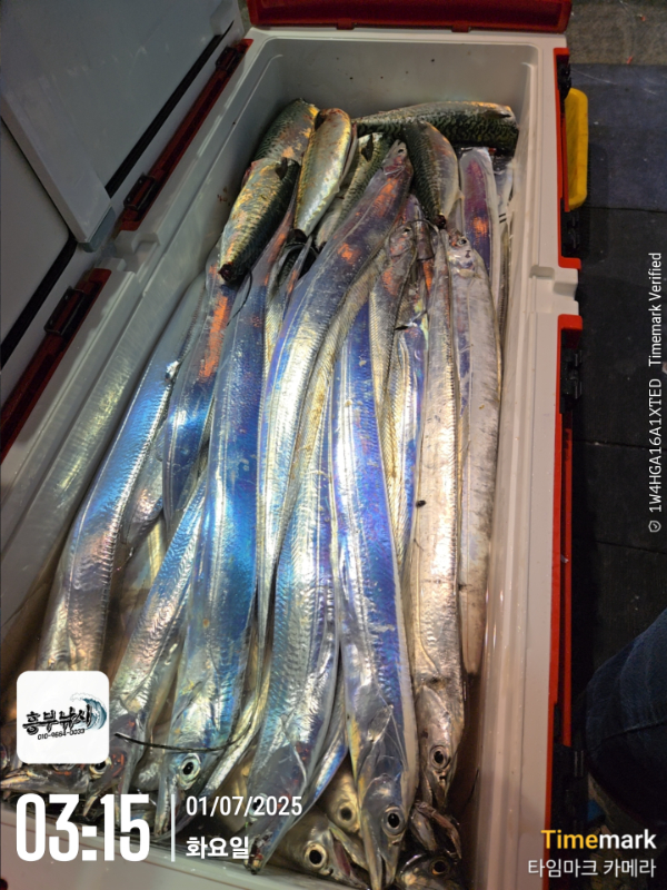 2025-07-01 03.15.57_.jpg