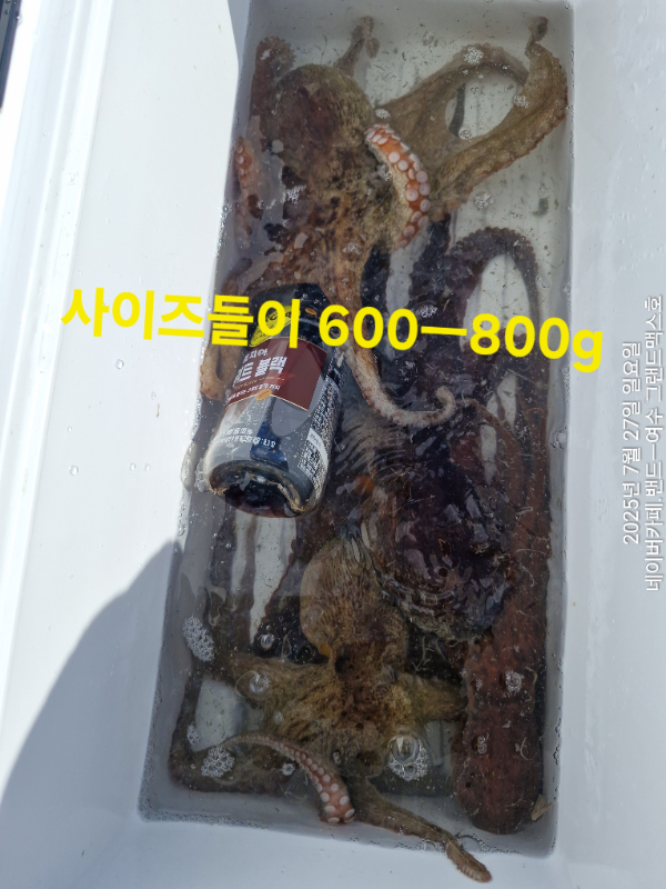 1000092589.jpg