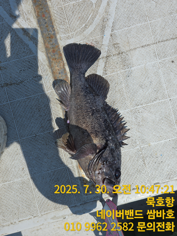 TimePhoto_20250730_104721.jpg