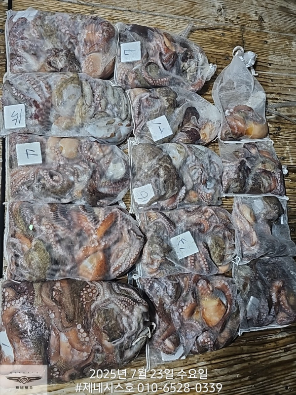 1_0i6Ud018svc1530ka27ayx86_bbj2f7.jpg
