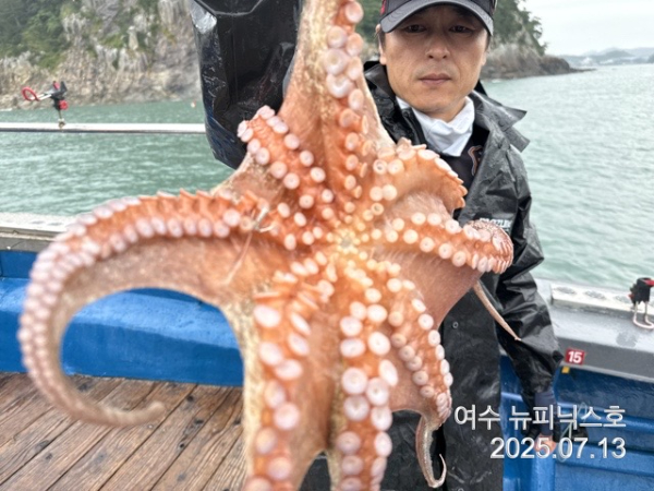 7월13일문어 (4).jpg