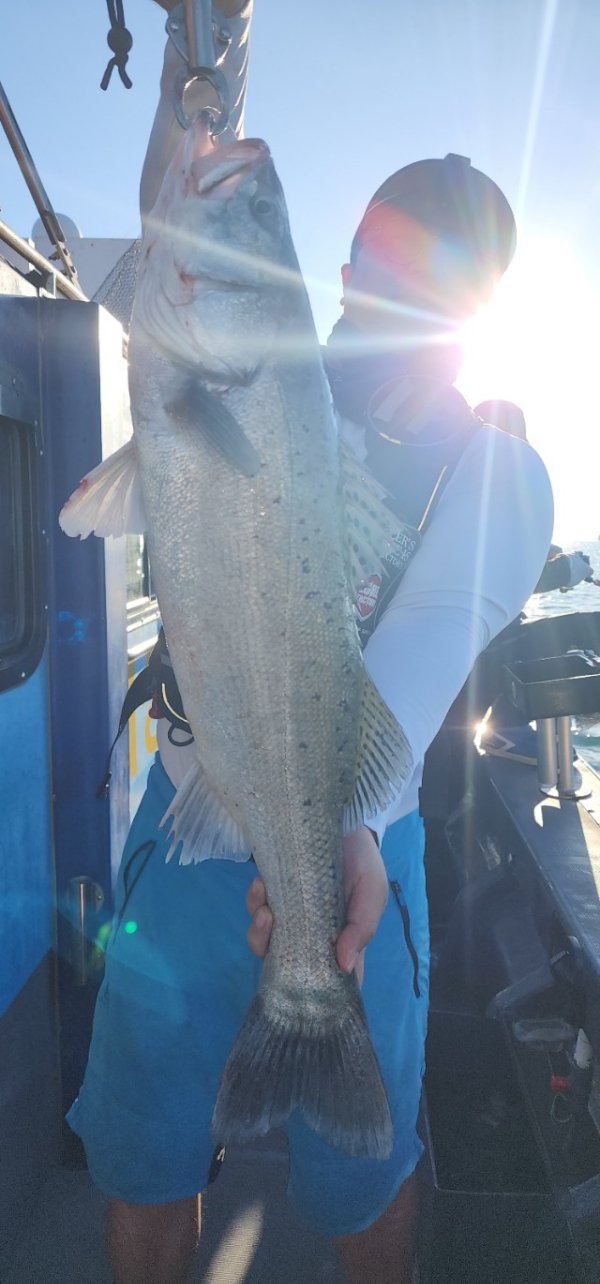 예지퀸호 농어외수질&어초낚시 경기인천권_사진_20250727_14.jpg