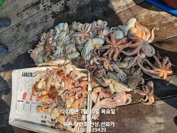 3d003653ca39631a76b8c592d66381b7.jpg