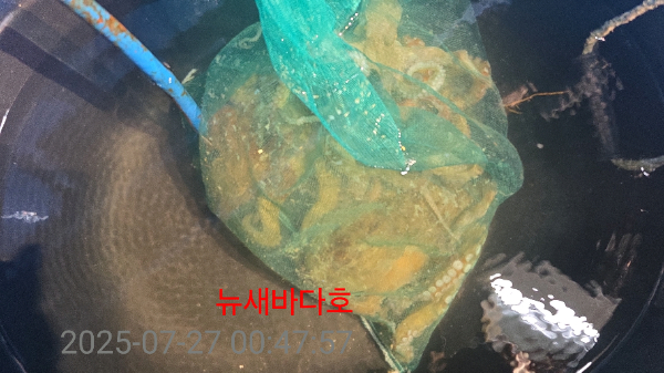 3ffe58ccd9e03347569a09adfbccb663.jpg