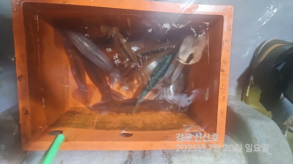 신신낚시 강구점 신신호_사진_20250720_15.jpg