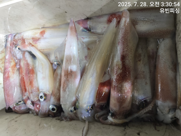 유빈피싱_사진_20250728_3.jpg