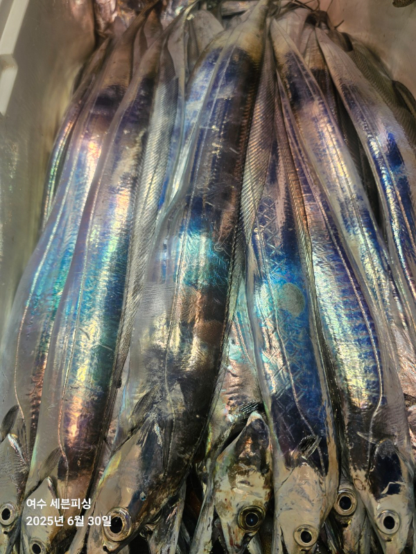 1000044180.jpg