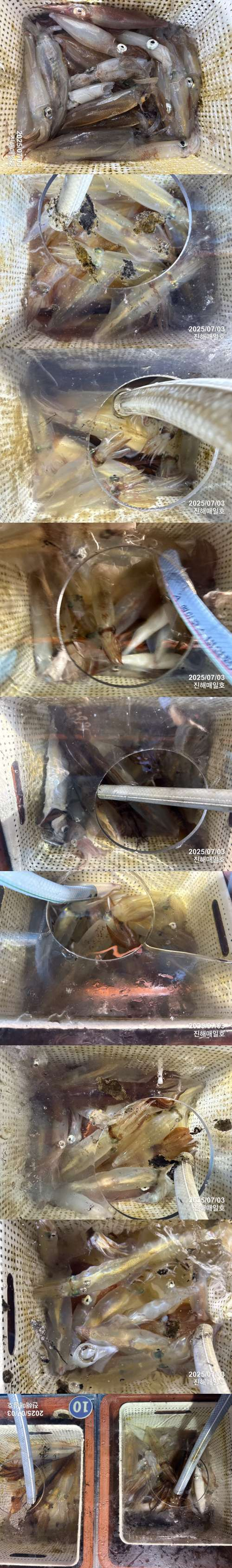 왕한치1.jpg