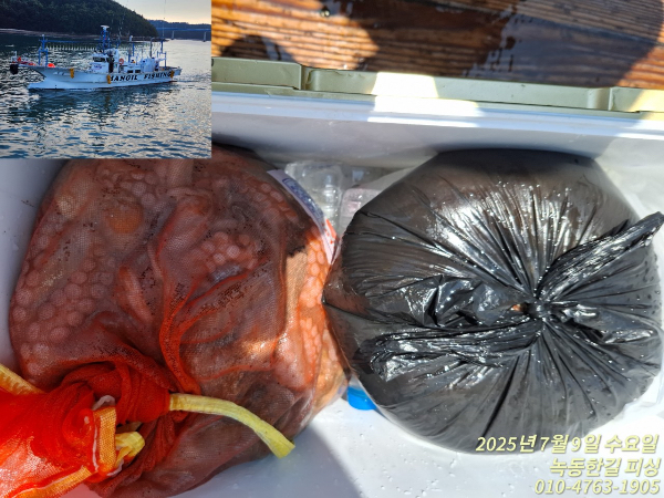 A0779CD5-320C-4CB5-BE42-AB13075A303C.jpeg