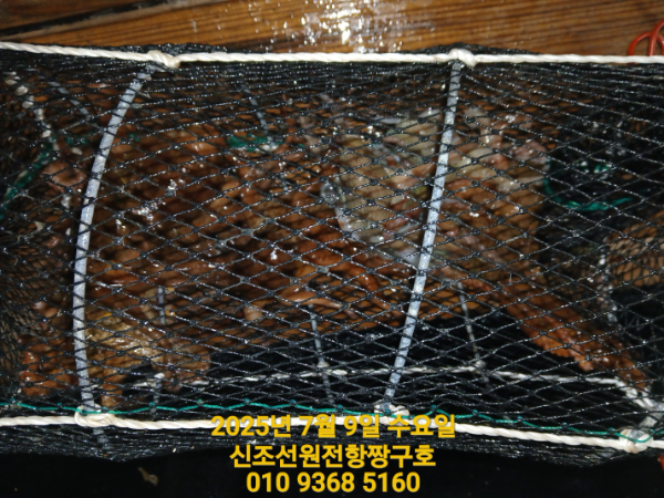 KakaoTalk_20250710_015442852_05.jpg