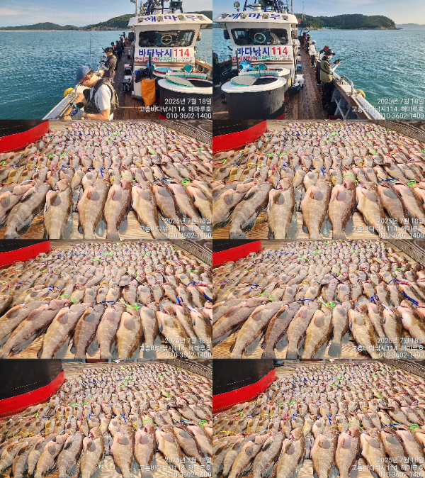 01TimePhoto_20250718_071433-tile.jpg