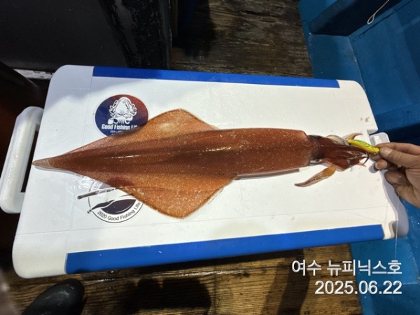 6월23일한치 (5).jpg
