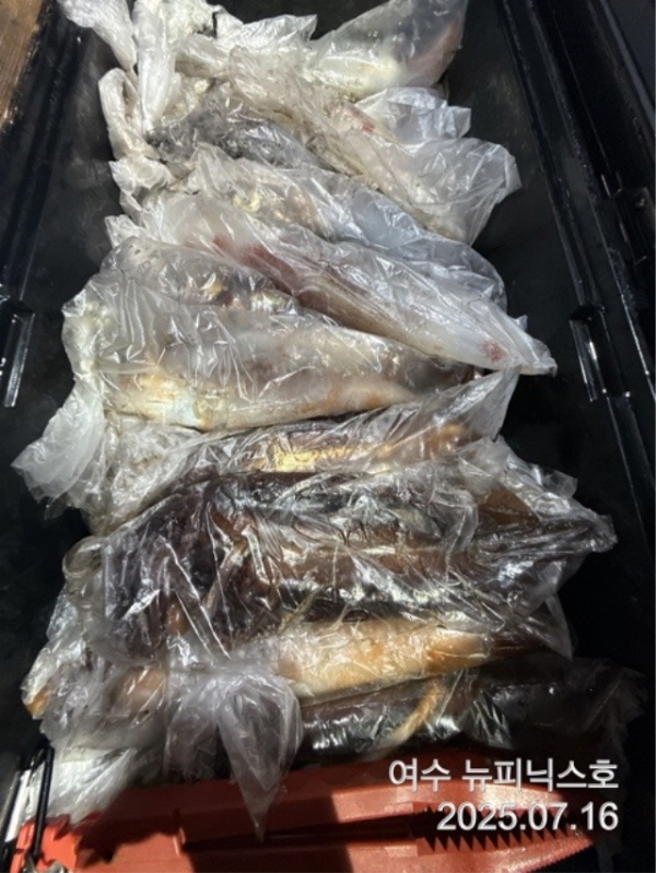 큰7월16일한치 (7).jpg