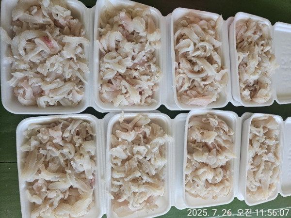 [크기변환]공현진낚시마트(돌핀호)_사진_20250726_12.jpeg