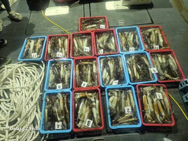 신신낚시 강구점 신신호_사진_20250706_10.jpg