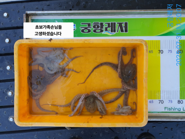 궁항레저_사진_20250731_4.jpg