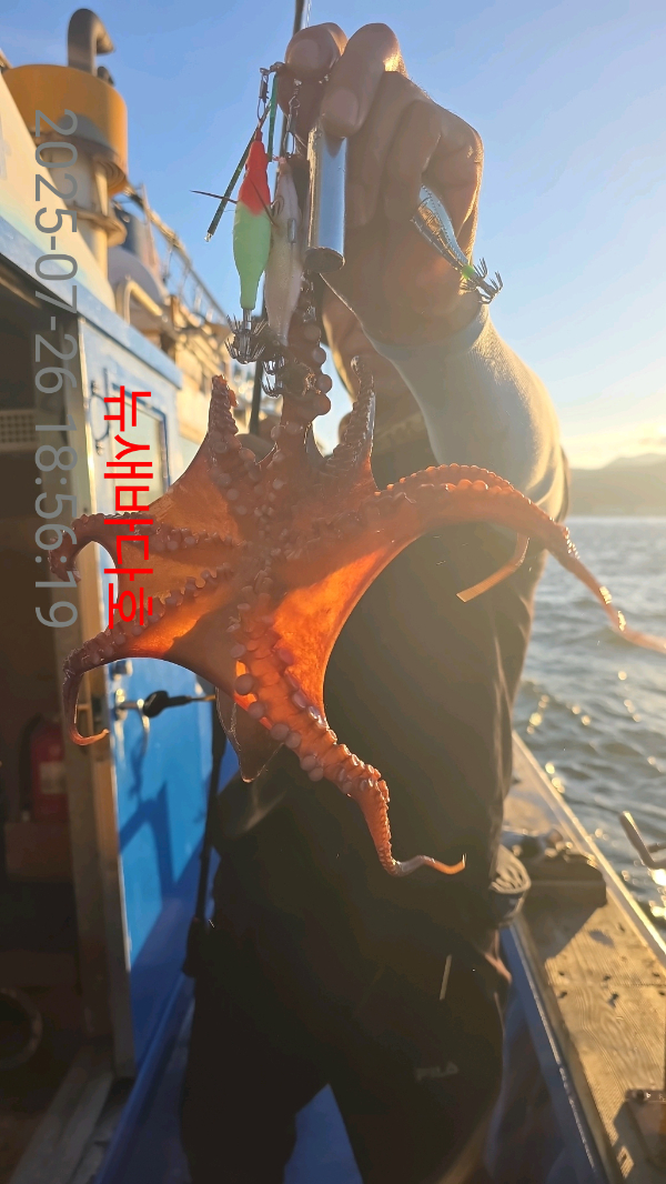 4a1ca98b643887aae4d03e603885b80f.jpg