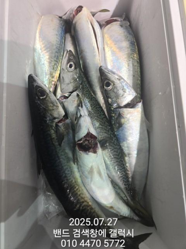 KakaoTalk_20250728_013952016_05.jpg